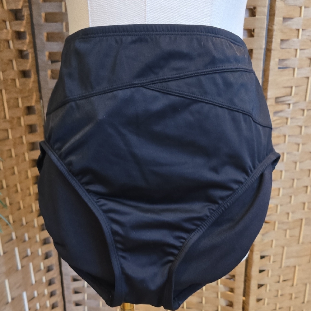 Dreamsuit by Miracle Brands Slimming Control Bikini Bottom